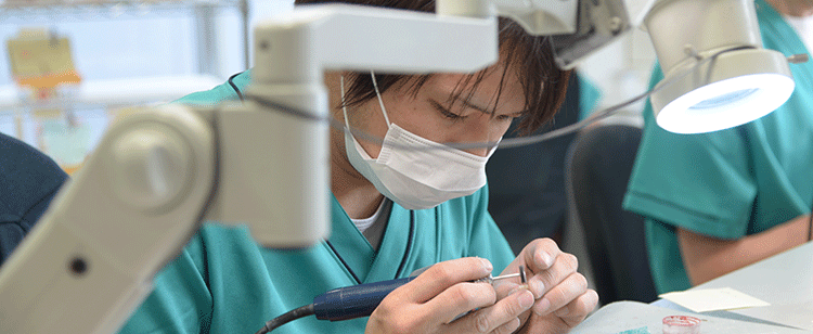 歯を製作している歯科技工士