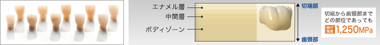 Nakajima9の写真